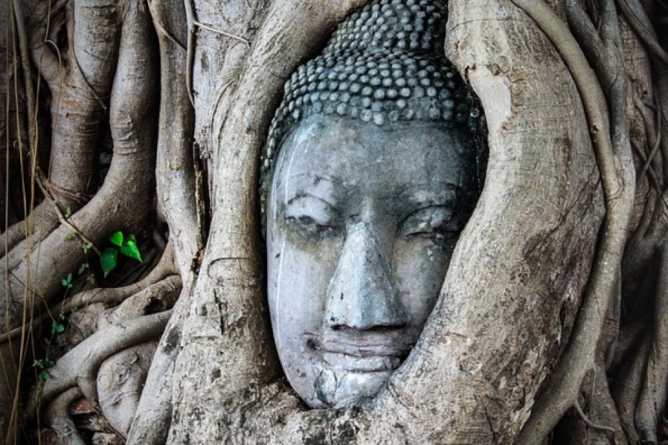 affordable local food in Pattaya