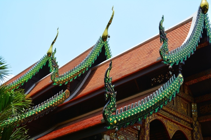 local food experiences in Chiang Mai